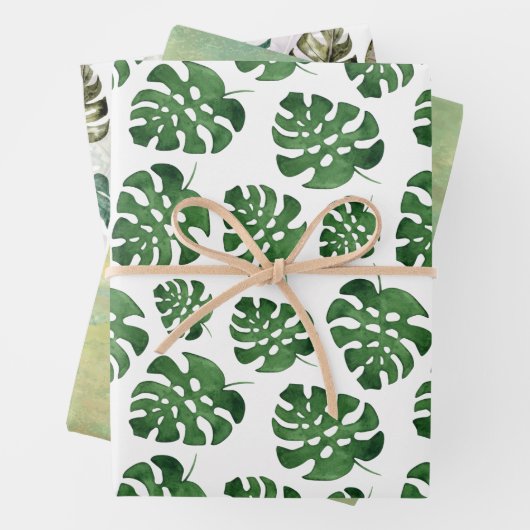 Monstera Inpakpapier Vel (In situ)