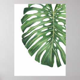 Monstera Leaf 6 Poster