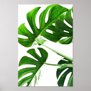 Monstera leaf waterverf schilderij #5 poster