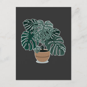 Monstera Plant Beauful Houseplant Briefkaart
