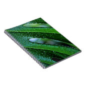 Monstera plant bladgroen notitieboek (Rechterzijde)