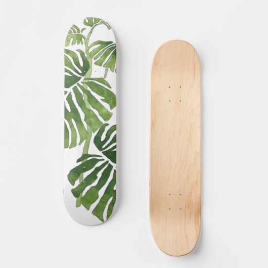 Monstera Skateboard (Recto)