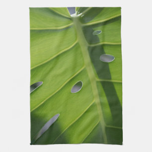 Monstera Swiss Cheese Plant Green Dish Theedoek