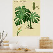 Monstera Swiss Cheese Poster Botanique (Cuisine)