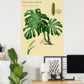 Monstera Swiss Cheese Poster Botanique (Bureau à domicile)