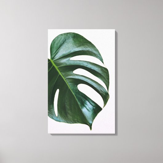 Monstera Tropical Leaf Canvas Afdruk (Voorkant)