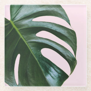 Monstera Tropical Leaf Glazen Onderzetter