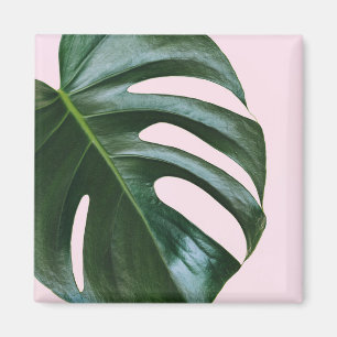 Monstera Tropical Leaf Magneet