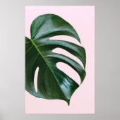 Monstera Tropical Leaf Poster (Voorkant)
