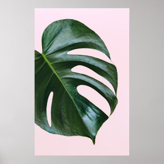 Monstera Tropical Leaf Poster (Voorkant)