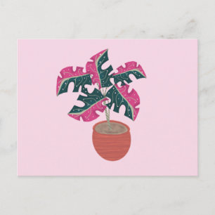 Monstera Variegated Pink and Green Potlood Plant Briefkaart