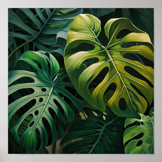Monstera verlaat Art Print Poster (Voorkant)