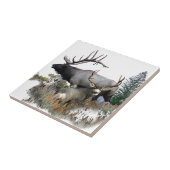 Monsterboltrofee Tegeltje (Zijkant)