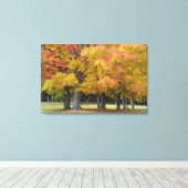 Monsterbomen in herfstkleuren, nabij Concord; Canvas Afdruk (Insitu (Houten vloer))