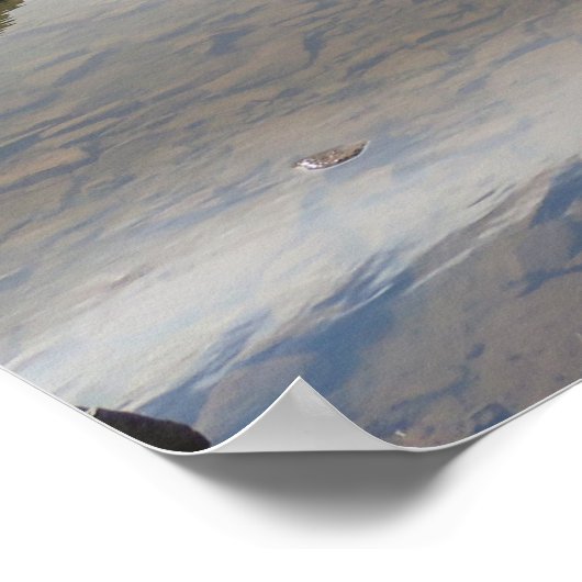 Mont Blanc massif Poster (Hoek)