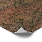 Mont Clare Schuylkill Poster (Hoek)