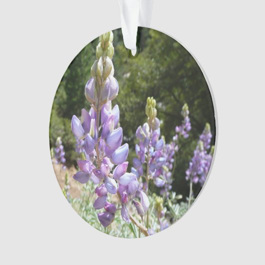 Mont Lupins (devant)