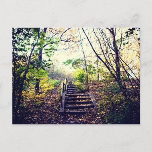 Mont-Royal automne Briefkaart (Voorkant)