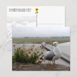 Mont-Saint-Michel Lookout, Normandië, Frankrijk Briefkaart