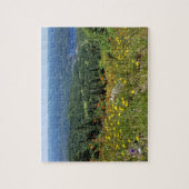 Mont Tremblant - puzzle (Vertical)
