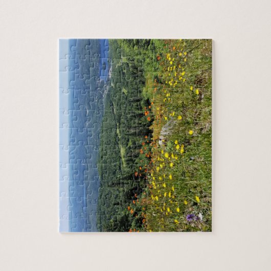 Mont Tremblant - puzzle (Vertical)