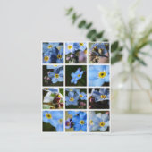 Montage de Myosotis 1 Carte postale (Debout devant)