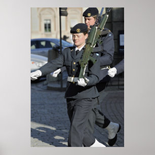 Montagebeveiliging Poster