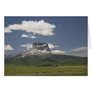 Montagne En Chef Avec Des Pâturages De Bétail
