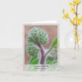 Montagne Phacelia - carte pour notes indigène (Fleur jaune)