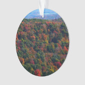 Montagnes Appalaches en automne (devant)