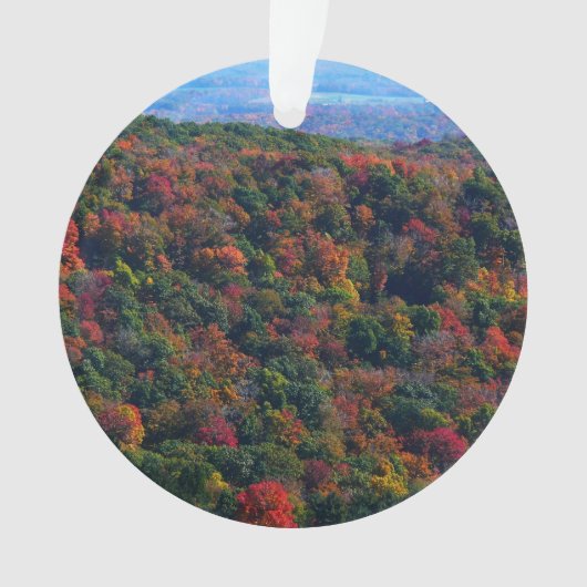Montagnes Appalaches en automne (devant)