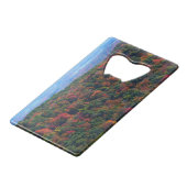 Montagnes des Appalaches à l'automne (Devant Angle)