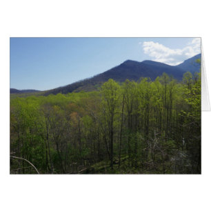Montagnes fumées dans le paysage du printemps