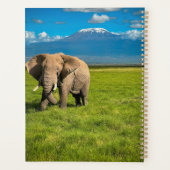 Montagnes | Mont Kilimandjaro Tanzanie, Afrique (Dos)