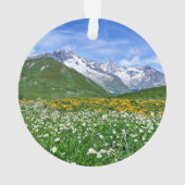 Montagnes | Swiss Alps Valley Spring (dos)