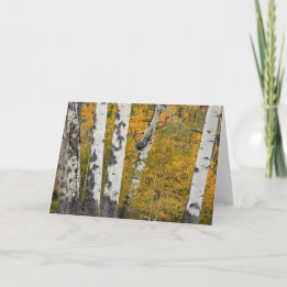 Montana Autumn Notecard Kaart