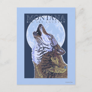 Montana - Big Sky CountryHowling Wolf Briefkaart