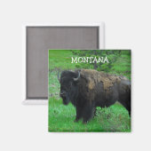 Montana Bison magnet Magneet (Voorkant / Achterkant)