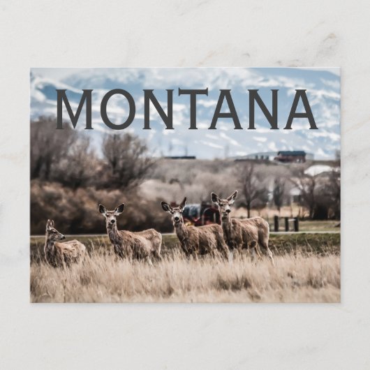 MONTANA BRIEFKAART (Voorkant)