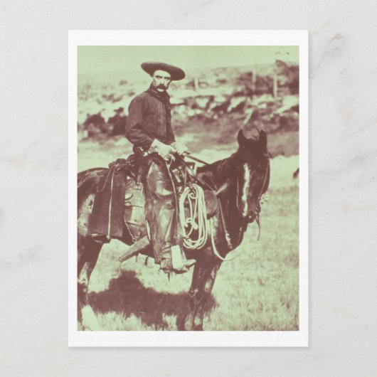 Montana Cowboy, c.1880 (foto) Briefkaart (Voorkant)