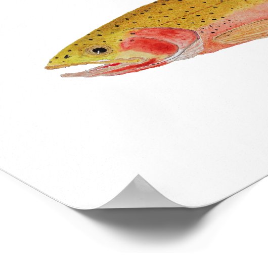 Montana Cuthroats Poster (Hoek)