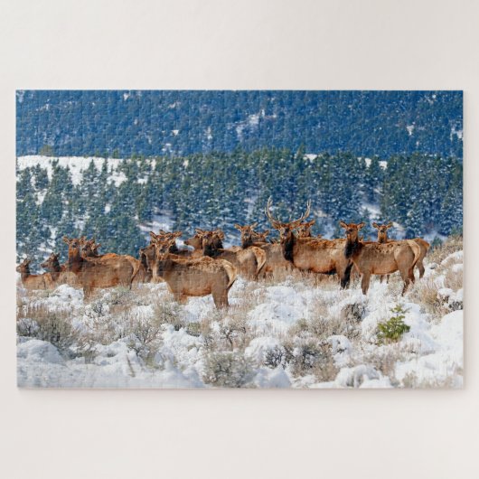 Montana Elk Herd Legpuzzel (Horizontaal)