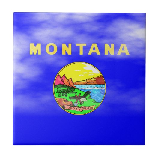 MONTANA FLAG TEGELTJE (Voorkant)