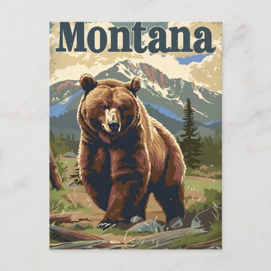 Montana Grizzly  Briefkaart (Voorkant)
