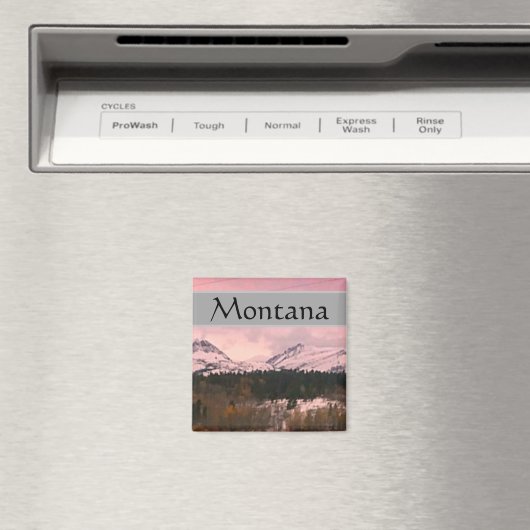 Montana Magnet Magneet (Insitu (Vaatwasser))