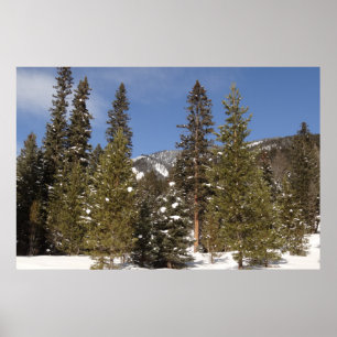 Montana Mountain Trails in Winter Landscape Foto Poster