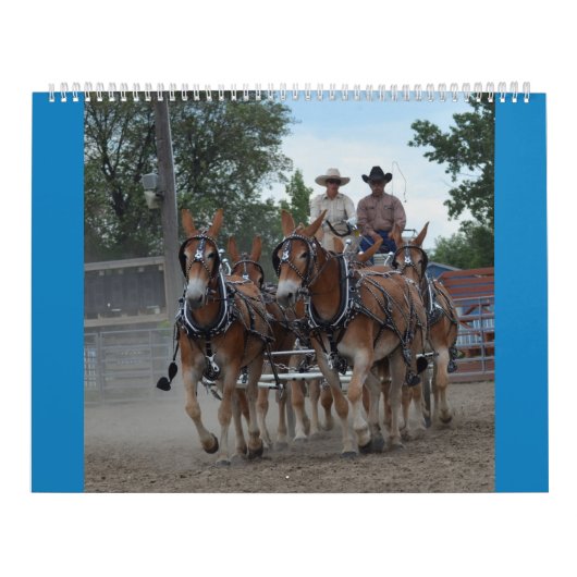 Montana Mule Days Kalender (Hoes)