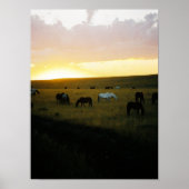 Montana Sky Poster (Voorkant)