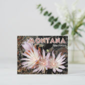 Montana State Flower: Bitterroot Briefkaart (Staand voorkant)