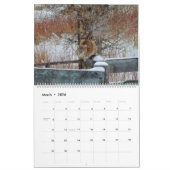 Montana Wildlife Kalender (Mar 2026)